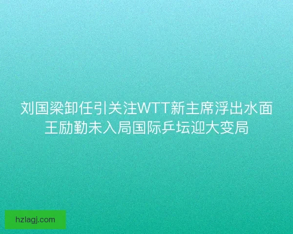 刘国梁卸任引关注WTT新主席浮出水面王励勤未入局国际乒坛迎大变局